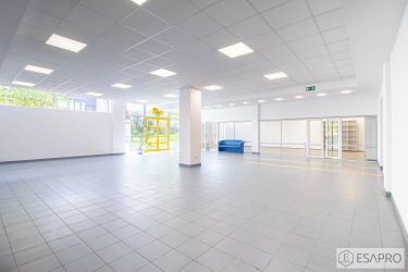 Lublin 12 000 zł 286 m2