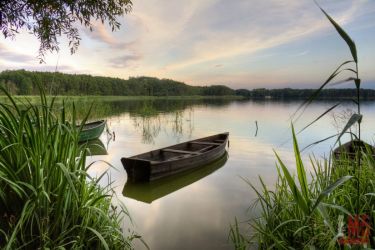 Dąbrówno, 299 000 zł, 33.62 ar, droga dojazdowa utwardzona