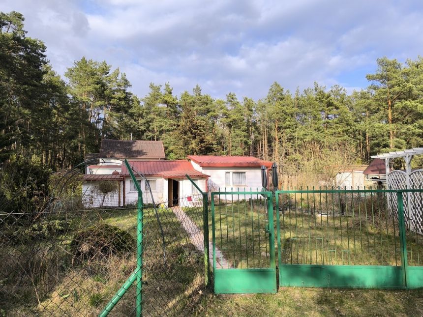Cicha działka z domkiem w otulinie lasu koło rzeki miniaturka 5