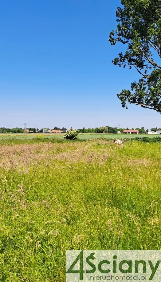 Błonie, 312 000 zł, 12.73 ar, woda w drodze - zdjęcie 1