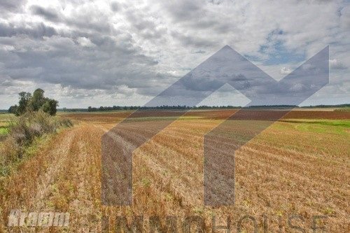 Działka Sady miniaturka 1