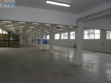 Głogów Małopolski Rogoźnica, 13 300 zł, 700 m2, stan bardzo dobry