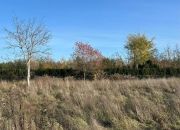 Rusiec, 390 000 zł, 10 ar, droga dojazdowa gruntowa miniaturka 1