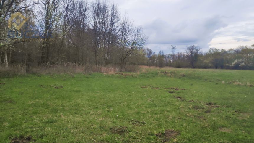 Januszew, 120 000 zł, 2.27 ha, rolna miniaturka 3