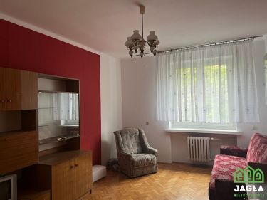 Na wyłączność  M-3 Osiedle Leśne