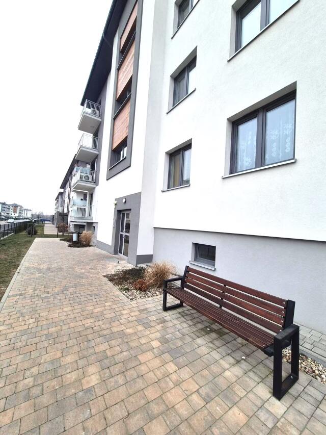 Mieszkanie do wynajęcia / 54m2 / ul. Zofii Rogalewicz miniaturka 11