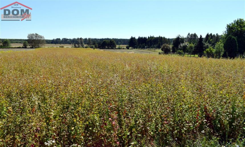 Działka - Wierzchowo miniaturka 11