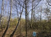 Wołomin, 490 000 zł, 10.24 ar, droga dojazdowa gruntowa miniaturka 6