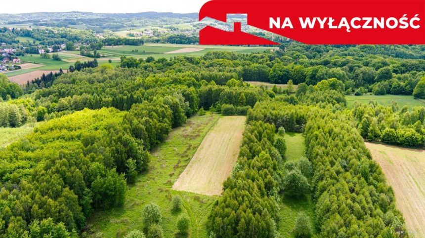 Działka rolna - 4677 m² Skrzyszów miniaturka 4