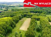 Działka rolna - 4677 m² Skrzyszów miniaturka 4