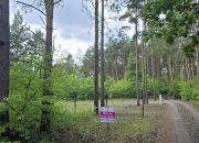 Ślesin, 120 000 zł, 6.23 ar, droga dojazdowa utwardzona miniaturka 10