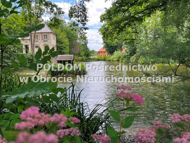 Atrakcyjna działka budowlana, Bagno k. Obornik Śl. - zdjęcie 1