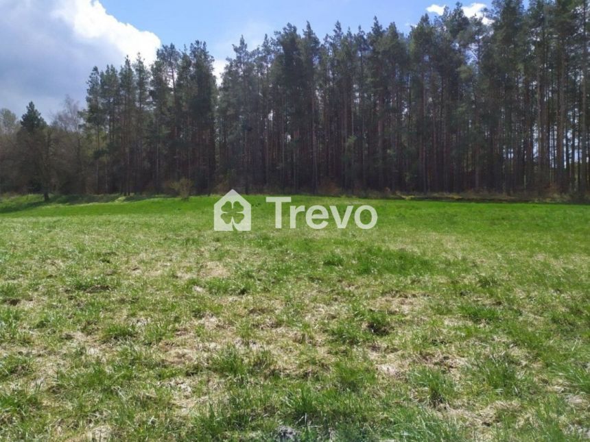 Jałowiec, 149 000 zł, 24 ar, budowlana miniaturka 7