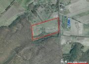 Szczecin Płonia, 4 090 000 zł, 2.57 ha, kwadratowa miniaturka 1