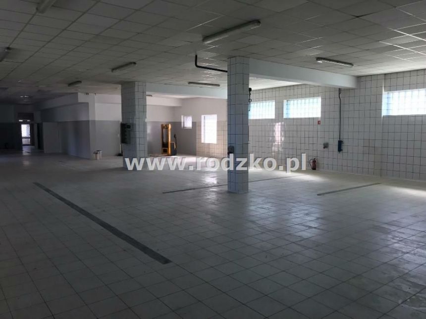 Bydgoszcz Siernieczek, 12 000 zł, 600 m2, murowany miniaturka 4