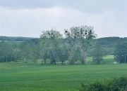 Działka budowlana - Krokowa Lisewo miniaturka 7