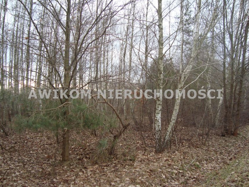 Ojrzanów-Towarzystwo, 414 000 zł, 16.55 ar, woda w drodze miniaturka 4