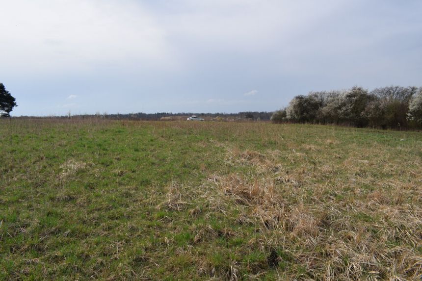 Działka 69a pod budownictwo- Stobierna miniaturka 7