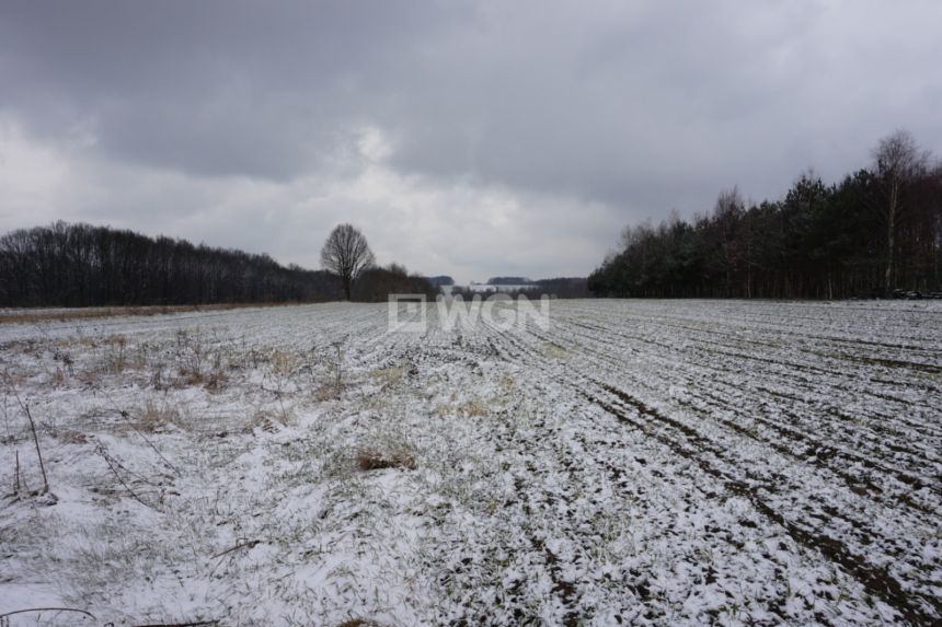 Rędziny, 749 000 zł, 1.87 ha, budowlana miniaturka 2