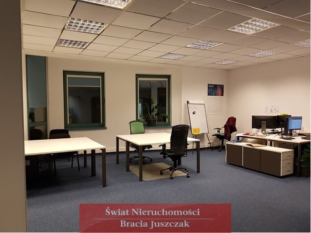 Wrocław Stare Miasto, 5 800 zł, 145 m2, 4 pokoje - zdjęcie 1