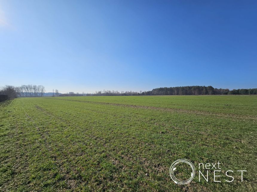 Krakowiany, 9 320 000 zł, 3.33 ha, inwestycyjna miniaturka 6