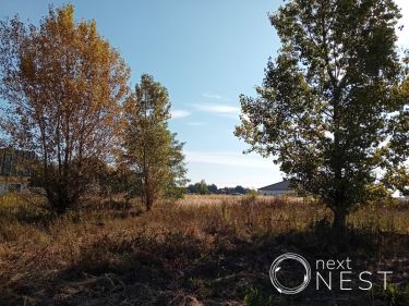 Podolszyn Nowy, 2 890 000 zł, 48 ar, droga dojazdowa utwardzona