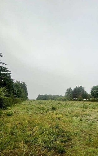 Działka 1060 m² Stare Załubice, MPZP, blisko lasu. miniaturka 2