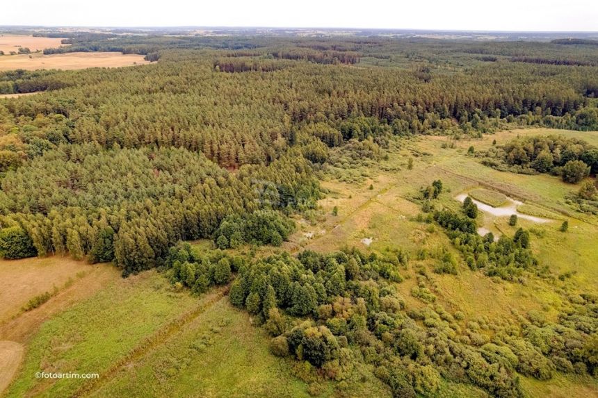 Działka leśna pod Pasymiem miniaturka 2