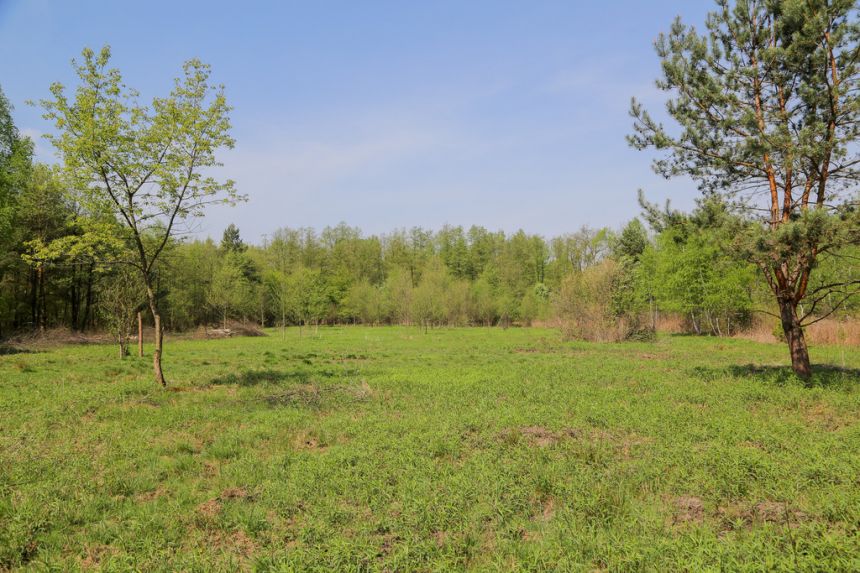 4 działki rolno-budowlane- Bielcza- Małopolska miniaturka 6