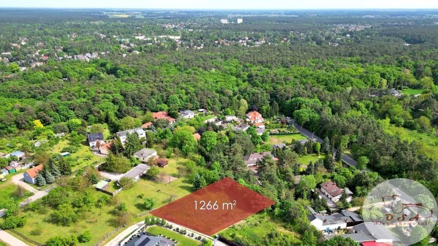 1266 m² Puszczykowo Stare * MPZP * Pod lasem! - zdjęcie 1