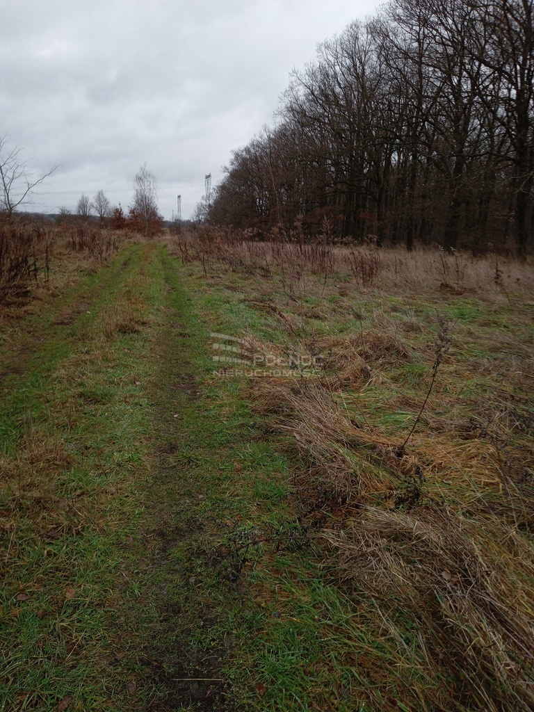 Działka budowlana 0,87 ha granicząca z Parkiem. miniaturka 2