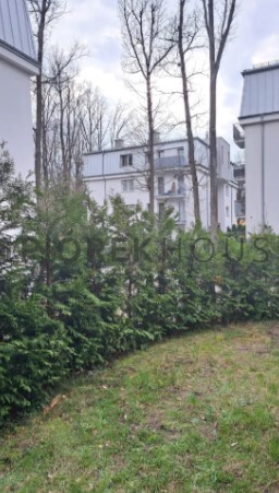 3-pokojowe mieszkanie w dzielnicy Wesoła miniaturka 10