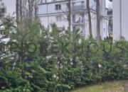 3-pokojowe mieszkanie w dzielnicy Wesoła miniaturka 10