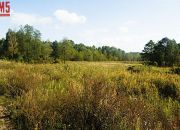 Koplany, 279 500 zł, 2 ha, rolna miniaturka 4