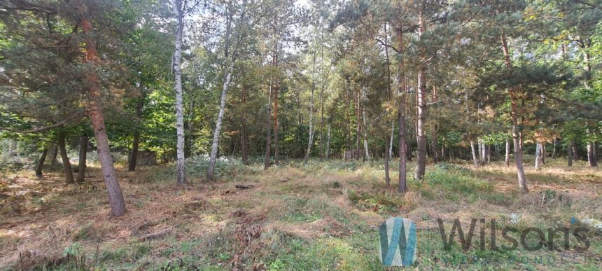 Żabia Wola, 484 000 zł, 12.16 ar, droga dojazdowa utwardzona miniaturka 8