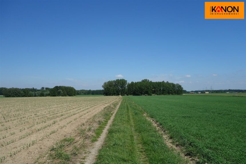 Skoczów 490 000 zł 1.16 ha miniaturka 11