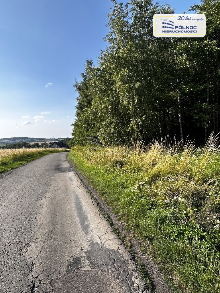 Działka z widokiem na panoramę gór. miniaturka 12