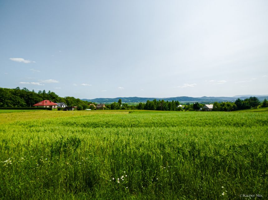 Na sprzedaż: działka 79 arów- Domosławice miniaturka 3