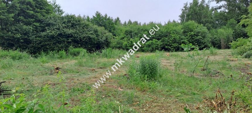 Działka budowlana, uzbrojona STARA WIEŚ miniaturka 9
