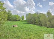 Nowe Worowo, 430 000 zł, 3.69 ha, droga dojazdowa asfaltowa miniaturka 4