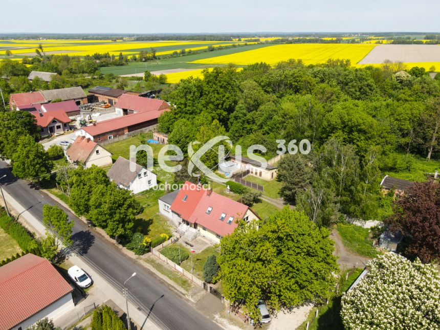 Bliźniak dla Ciebie miniaturka 1
