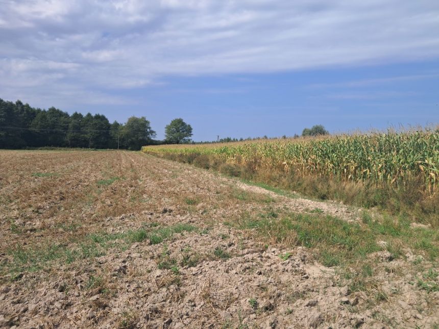 Malinówka, gm. Cyców - działka budowlana - zdjęcie 1