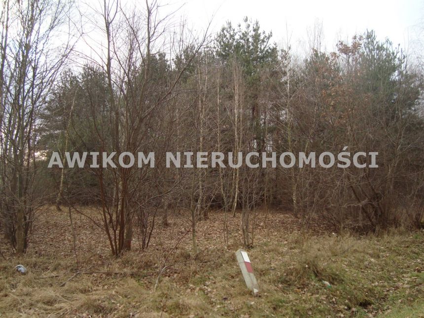Ojrzanów-Towarzystwo, 414 000 zł, 16.55 ar, woda w drodze miniaturka 2