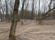 działka 1420m2 nad jeziorem, pole golfowe Choszczn miniaturka 17