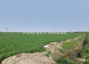 Spółdzielnia rolcznicza 155 ha - pow. poznański miniaturka 40