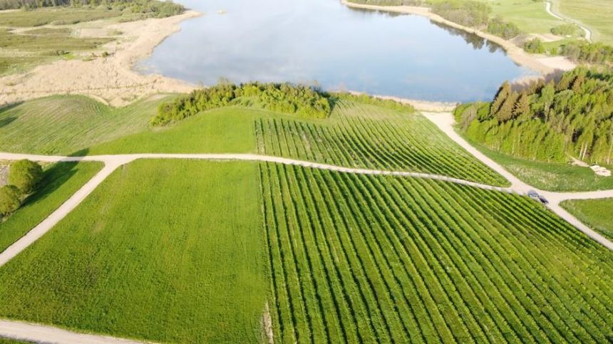 Działki nad jeziorem okolice Ełku - zdjęcie 1