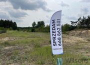 Kołaków, 2 400 000 zł, 1.5 ha, przyłącze prądu miniaturka 6