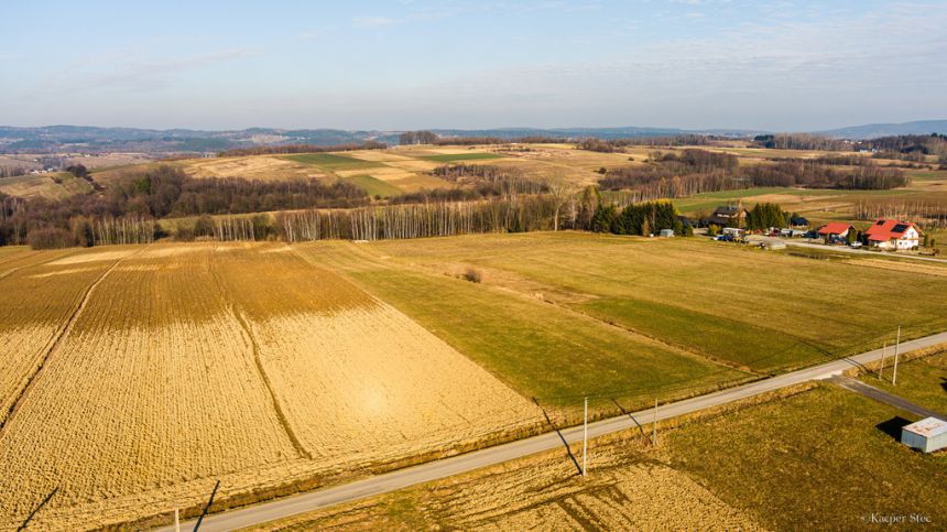 Działka rolno - budowlana (1,61ha) w Ołpinach! - zdjęcie 1
