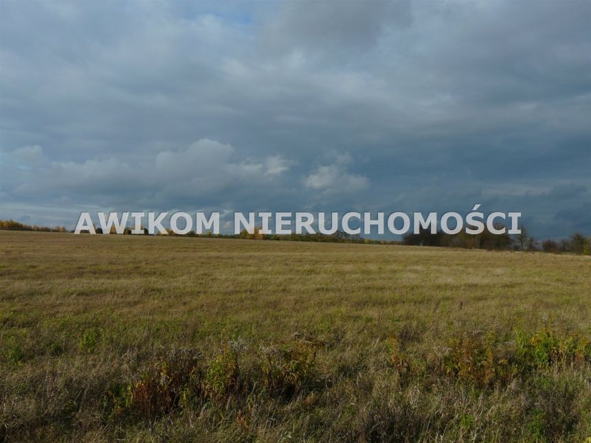 Wycześniak, 1 625 700 zł, 16.26 ha, rolna miniaturka 8