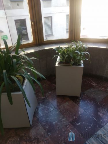 Radom, 1 440 zł, 120 m2, 4 pokoje